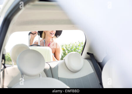 Frau laden Gepäck im Kofferraum eines Autos Stockfoto