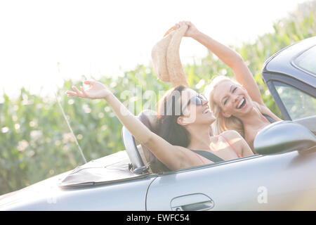 Aufgeregt, Freundinnen, die Fahrt im Cabrio bei Sonnenschein genießen Stockfoto