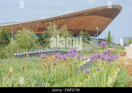 Lee Valley VeloPark im Queen Elizabeth Olympic Park, London England Vereinigtes Königreich UK Stockfoto