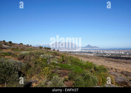 Die Aussicht von Durbanville Hills Wein Bauernhof mit dem Tafelberg im Hintergrund. Stockfoto