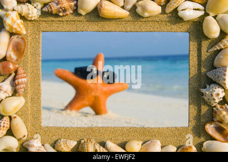 Sea Shell Sand Frame Seestern tropischen Sommer Stockfoto