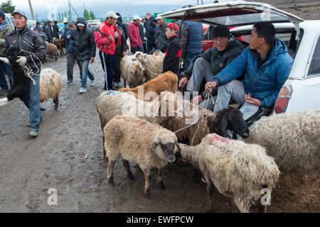 Viehmarkt statt. Karakol. See Issyk-Köl. Kirgistan. Zentralasien. Stockfoto