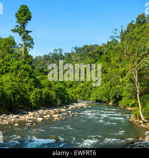 Bukit Lawang Dorf, Sumatra, Indonesien Stockfoto