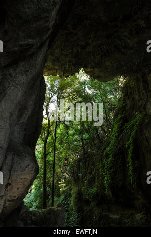 Blick durch die Mangapohue Brücke natürliche Felsformation in der Nähe von Waitamo in Neuseeland. Stockfoto