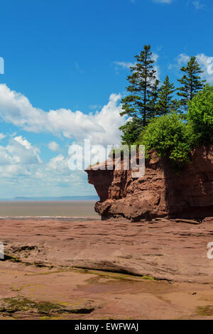 Blick auf Burncoat Kopf Park an der Bay Of Fundy in Nova Scotia.  Wo sind die höchsten Gezeiten der Welt berichtet. Stockfoto