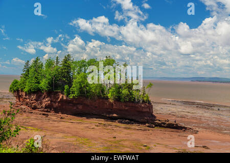 Blick auf Burncoat Kopf Park an der Bay Of Fundy in Nova Scotia.  Wo sind die höchsten Gezeiten der Welt berichtet. Stockfoto