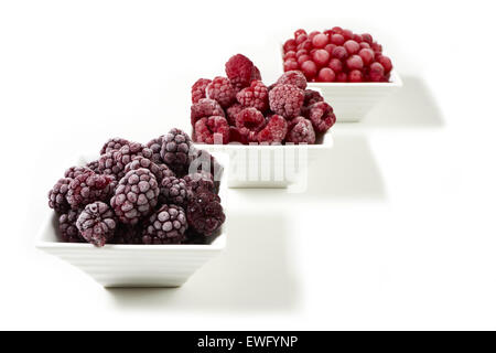 Drei kleine Porzellangeschirr mit gefrorenen Himbeeren, Johannisbeeren und Brombeeren auf weißem Hintergrund Stockfoto