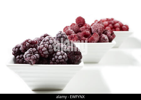 Drei kleine Porzellangeschirr mit gefrorenen Himbeeren, Johannisbeeren und Brombeeren auf weißem Hintergrund Stockfoto