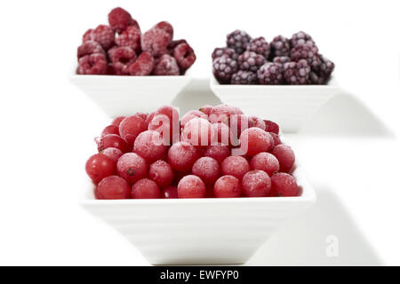 Drei kleine Porzellangeschirr mit gefrorenen Himbeeren, Johannisbeeren und Brombeeren auf weißem Hintergrund Stockfoto