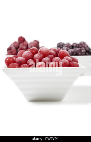 Drei kleine Porzellangeschirr mit gefrorenen Himbeeren, Johannisbeeren und Brombeeren auf weißem Hintergrund Stockfoto