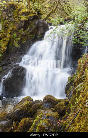 Unteren Wasserfälle, Wasserfall, Aros brennen, Aros Park in der Nähe von Tobermory, Isle of Mull, Hebriden, Argyll and Bute, Scotland Stockfoto