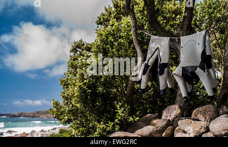 Patagonien-Neoprenanzüge am Strand nach einem Surf im Sommer Trocknen aufhängen. Stockfoto