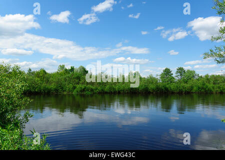 den großen Fluss mit der Küste, die den Holz und blauen Himmel mit den schwebenden Wolken overgrew Stockfoto