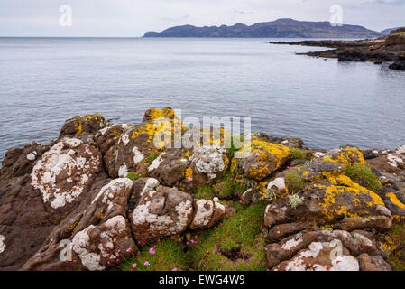 Ardmore Bay, in der Nähe von Tobermory, Isle of Mull, Hebriden, Argyll and Bute, Scotland Stockfoto
