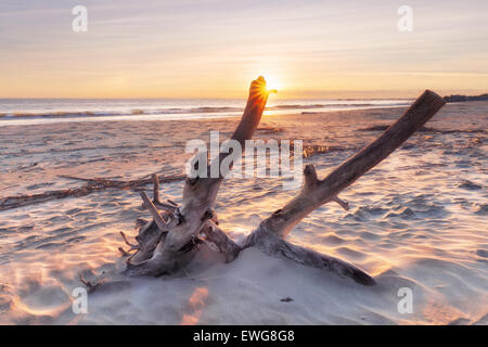 Sonnenaufgang in Folly Beach, James Island, South Carolina, USA Stockfoto