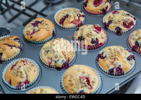 Gluten, Milch kostenlose Beeren-Muffins Stockfoto