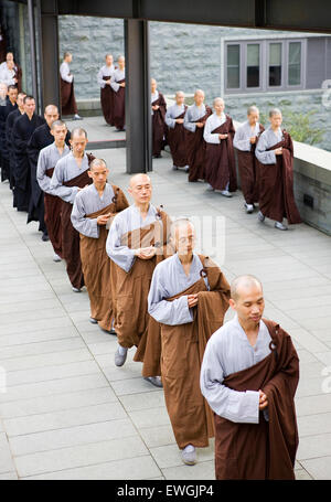 Buddhistische Mönche beten und meditieren auf das Dharma Drum Berg-Kloster. Sanjie Dorf, Jinshan, Taipei County, Taiwan, r.o.c. A Stockfoto