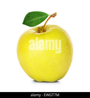 gelber Apfel isoliert auf weißem Hintergrund Stockfoto