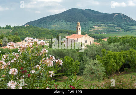 Die Pfarrkirche von S. Maria Assunta di Arquà Petrarca in den Euganeischen Hügeln Stockfoto