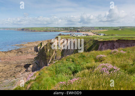 South Devon Coast Blick auf Thurlestone South Devon England UK aus Richtung Hope Cove Stockfoto