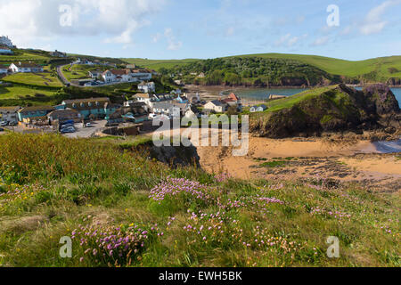 Hoffe Cove South Devon England UK in der Nähe von Kingsbridge und Salcombe Küste Dorf auf der Süd-west Küste Weg Stockfoto