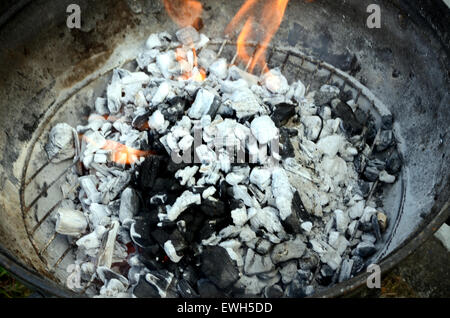 Holzkohle im Grill Stockfoto