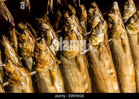 Kipper rauchen in einem Rauchofen. Stockfoto