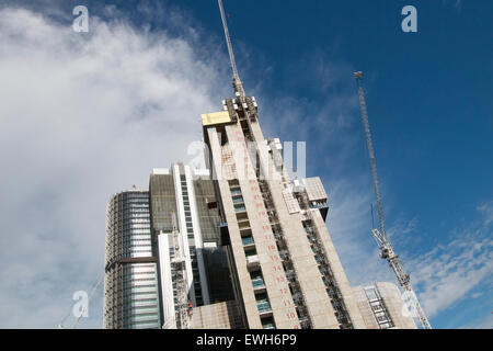 Baufortschritt am Barangaroo im Stadtzentrum von Sydney wo Hochhaus-Türme und Parklandschaft entstehen, Sydney, Australien Stockfoto