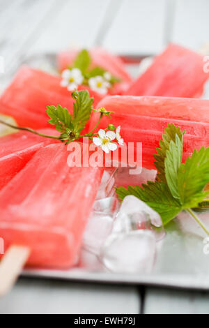 Hausgemachte Rhabarber Erdbeer Eis am Stiel Stockfoto
