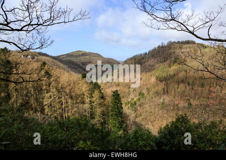 Das Rheidol Tal des Teufels-Brücke, Ceredigion, Wales Stockfoto