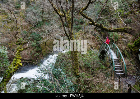 Fußgängerbrücke über die Barke fällt, Teufels-Brücke, Rheidol Tal, Ceredigion, Wales Stockfoto