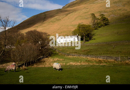 Traditionelles Bauernhaus aus Stein bei Howtown, Ullswater, Cumbria, England, UK Stockfoto