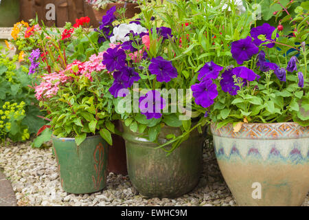 Schattigen Ecke eines Gartens mit Containern voll von bunten Blumen Stockfoto