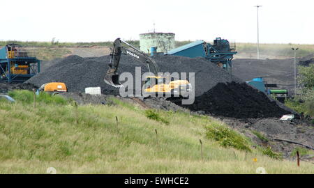 Ein Mann betreibt einen Bagger an Thoresby Colliery, Nottinghamshire. Thoresby Colliery wird in Kürze die Produktion im Jahr 2015 einzustellen. Stockfoto