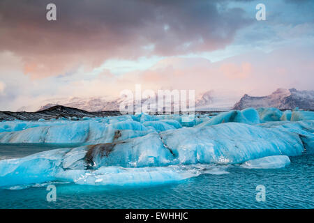 Eisberge driften zum Meer in Jökulsárlón im Winter Island Stockfoto