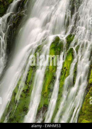 Panther Creek Falls. Washington Stockfoto