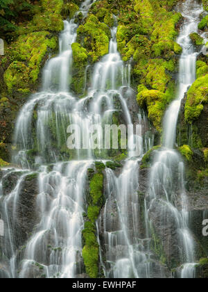 Panther Creek Falls. Washington Stockfoto