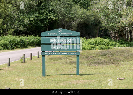 Forstwirtschaft-Kommission-Zeichen im New Forest in Hampshire Stockfoto