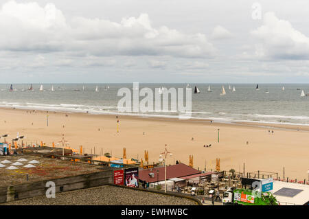 Viele Yachten Segeln neben Scheveningen Strand Stockfoto