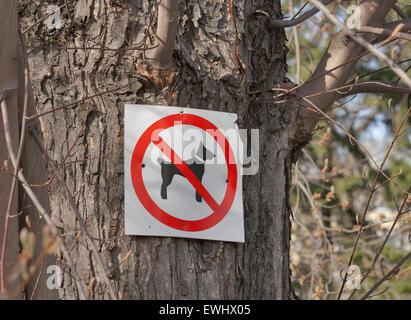 Keine Hunde-Platte auf dem Baum im park Stockfoto