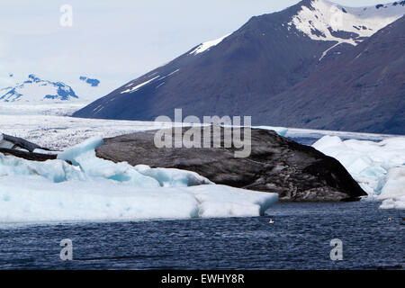 schwarze und weiße Eisberge schwimmen in Gletscherlagune Jökulsárlón Island Stockfoto
