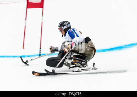 Ein behinderter Konkurrent mit speziell angepasste Ski-Ausrüstung, durch ein Tor in einem Riesenslalom-Rennen Stockfoto