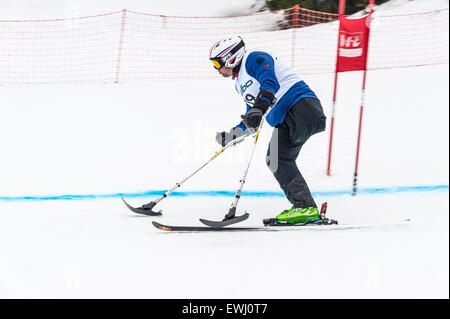 Ein einbeiniger Skifahrer Rennen bergab in ein Riesenslalom-Rennen Stockfoto