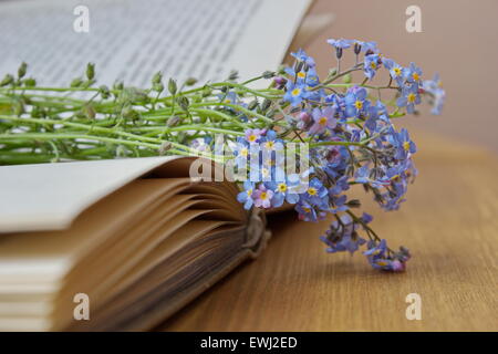 Bouquet von Vergiss mich Habenichtse auf das aufgeschlagene Buch liegend Stockfoto