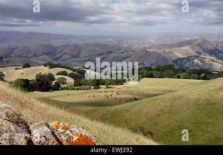 Sunol regionale Wildnis in der Nähe von Pleasanton, Alameda County, Kalifornien, USA. Stockfoto