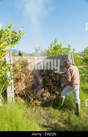 Landarbeiter, die Brandstiftung in gestutzten Niederlassungen innerhalb eines Brenners gemacht von Betonsteinen Stockfoto