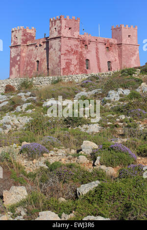 Sankt Agatha Turm (rot) in Mellieha, Malta Stockfoto