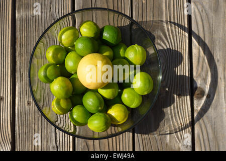 Gelbe Grapefruit und Grünen Limetten Stockfoto