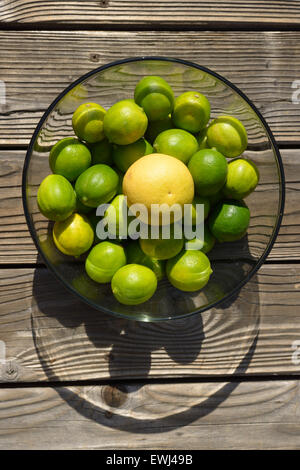 Gelbe Grapefruit und Grünen Limetten Stockfoto