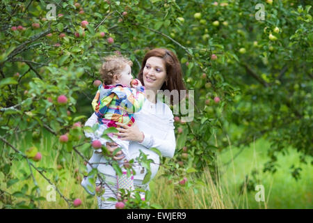 Schöne junge schwangere Frau und ihre lachende Baby Tochter pflücken Äpfel in einem Garten im Herbst Stockfoto